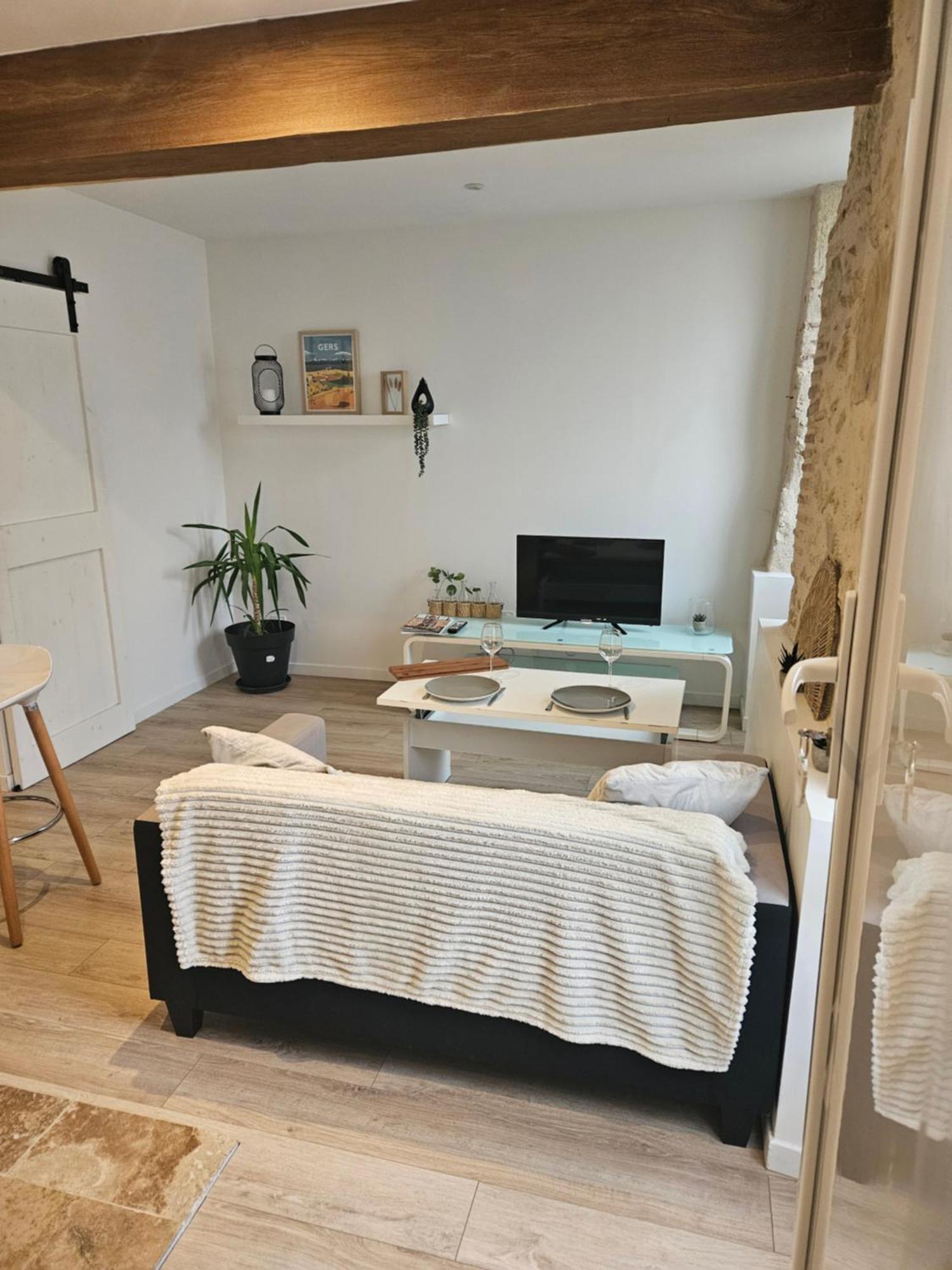 Appartement Centre Historique D'Auch Εξωτερικό φωτογραφία