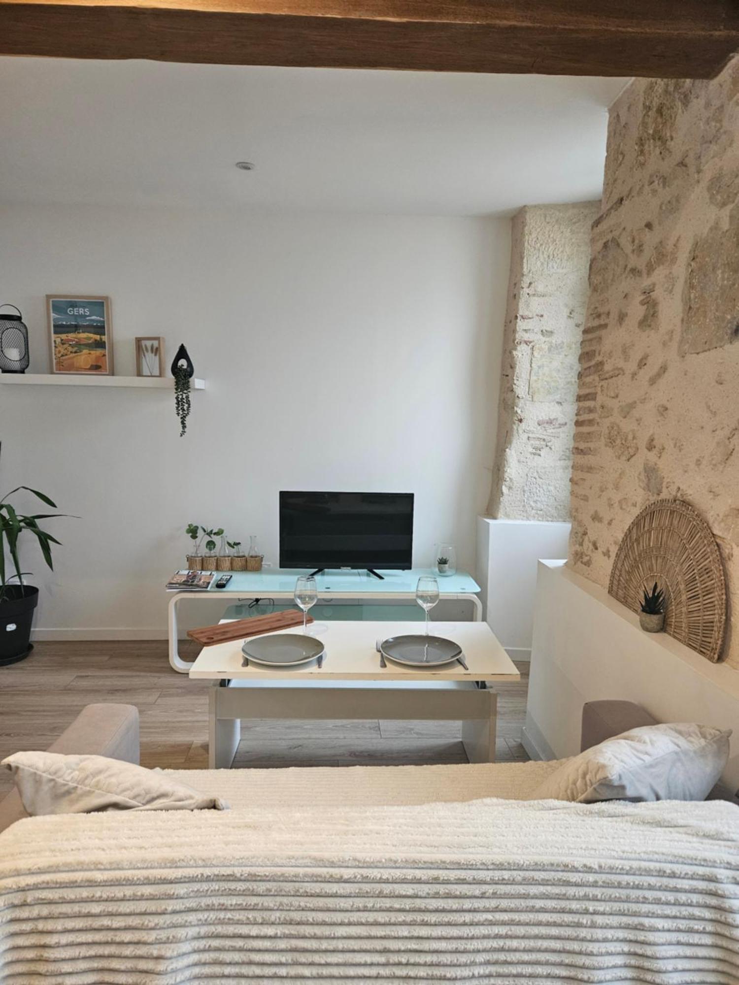 Appartement Centre Historique D'Auch Εξωτερικό φωτογραφία